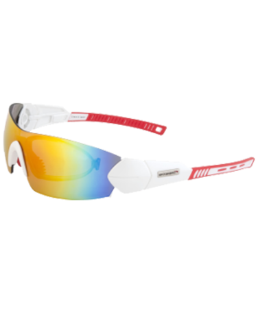 Goggle E-144/R