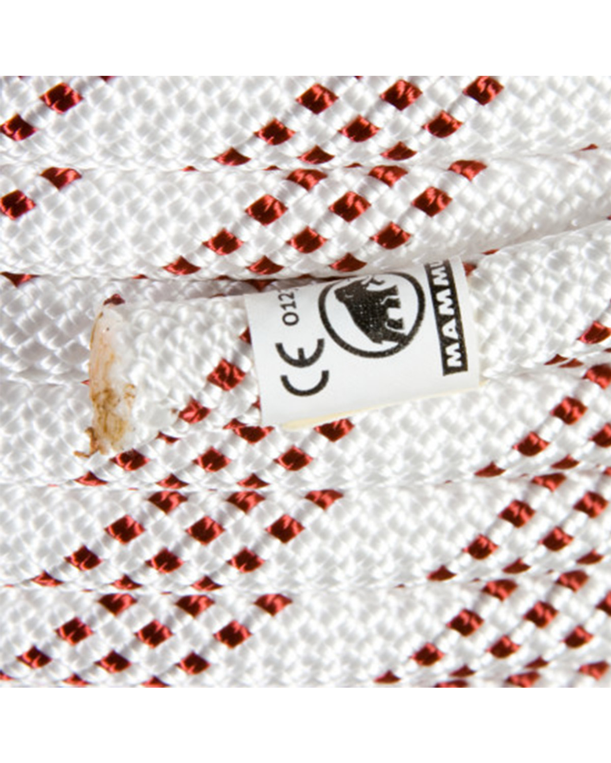 חבל Performance Static11 mm