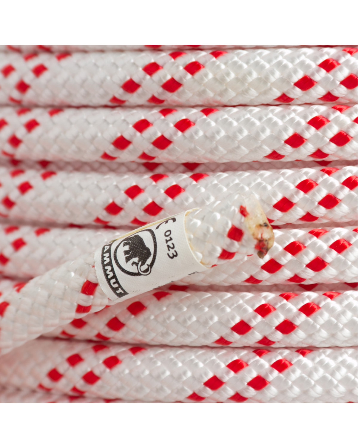 חבל Performance Static 10 mm