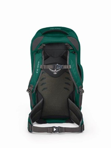 תרמיל מזוודה נשים OSPREY FAIRVIEW 55L