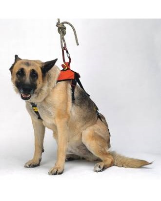 רתמת כלבים של KONG