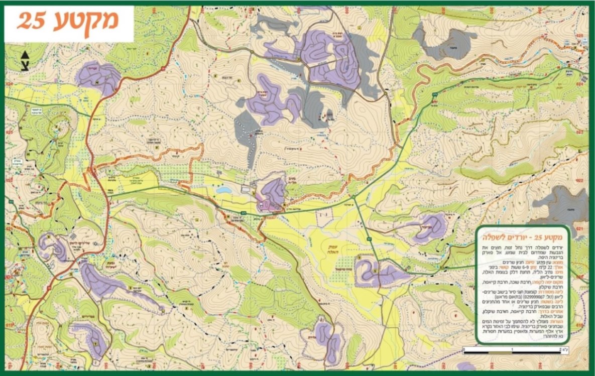 הולכים בשביל ישראל