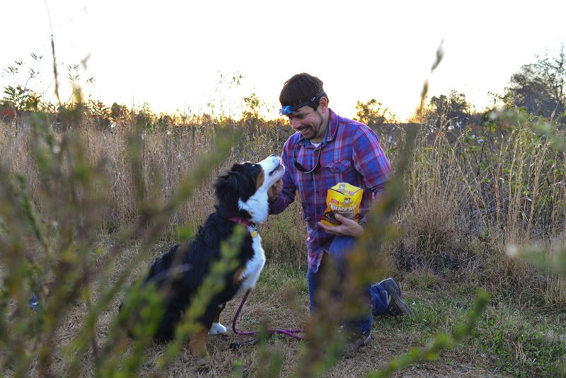 פנס ראש Princeton Tec Byte 100