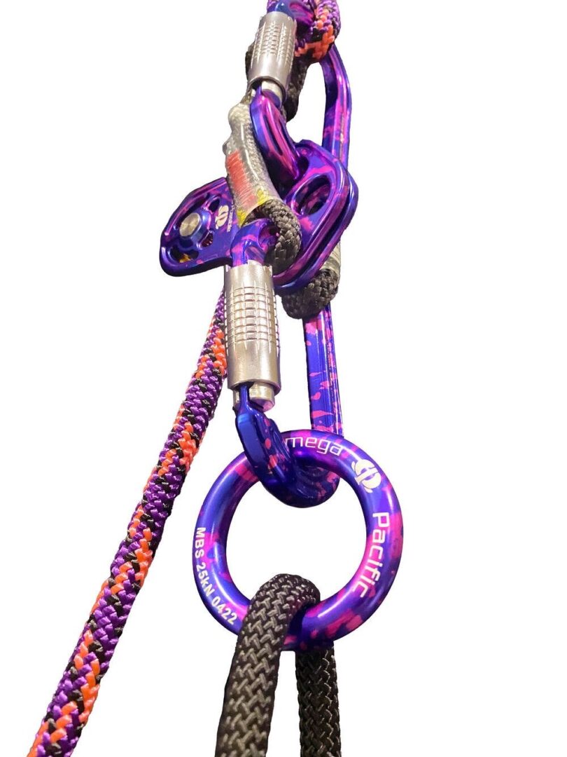 גלגלת Omega Pacific Octavia