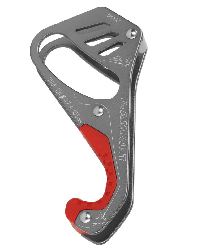 %d7%a6%d7%91%d7%a2-1219