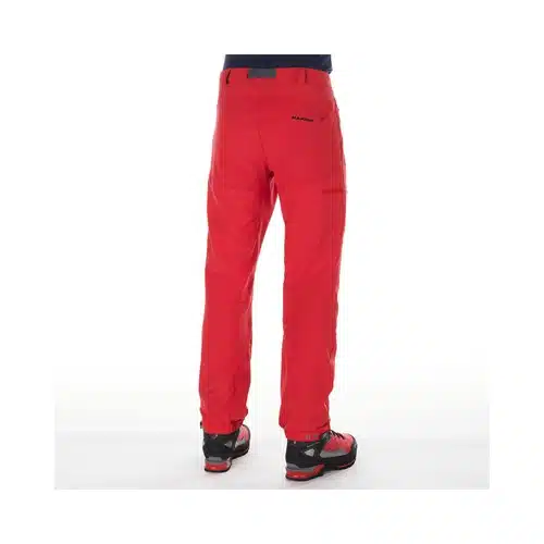 %d7%a6%d7%91%d7%a2-2948