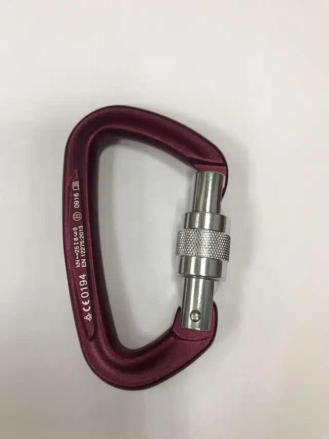 %d7%a6%d7%91%d7%a2-3364