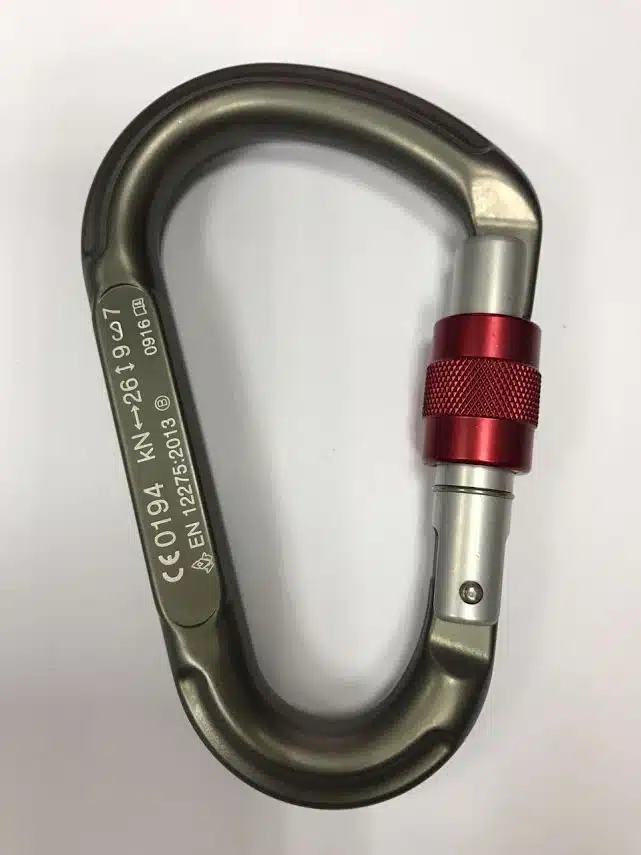 %d7%a6%d7%91%d7%a2-3368