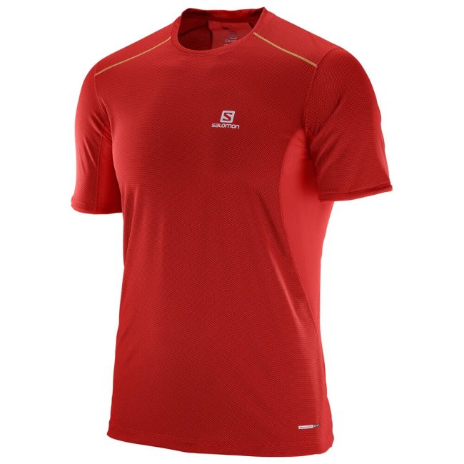 %d7%a6%d7%91%d7%a2-3649