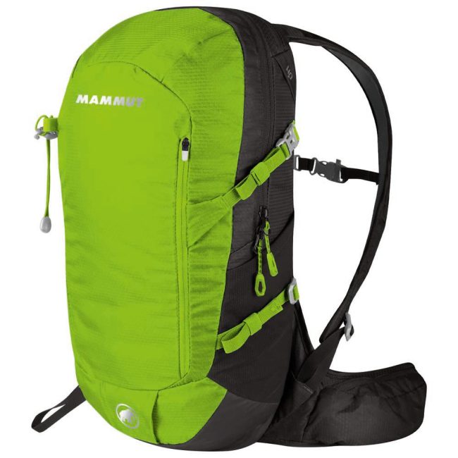 %d7%a6%d7%91%d7%a2-4042