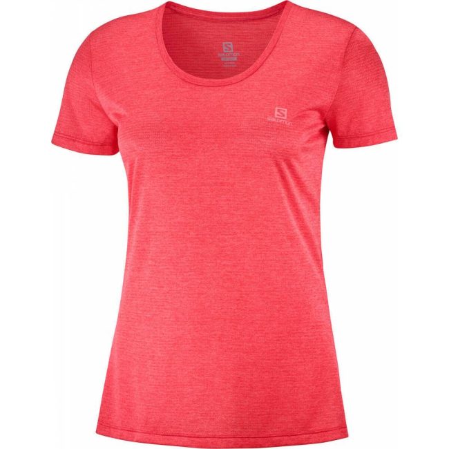 %d7%a6%d7%91%d7%a2-4160