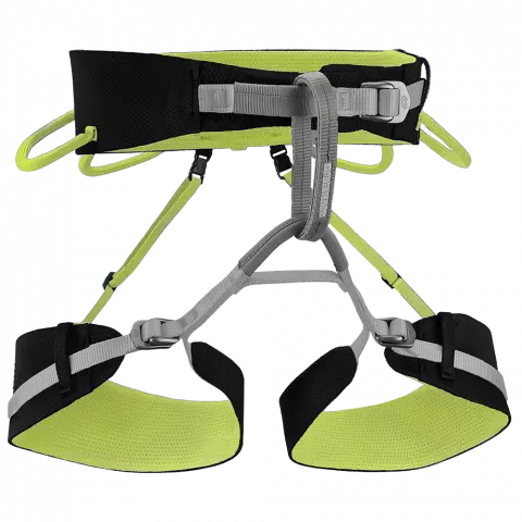 %d7%a6%d7%91%d7%a2-4219