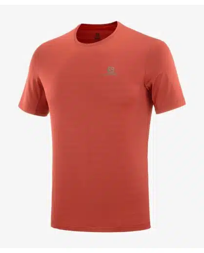 %d7%a6%d7%91%d7%a2-4289