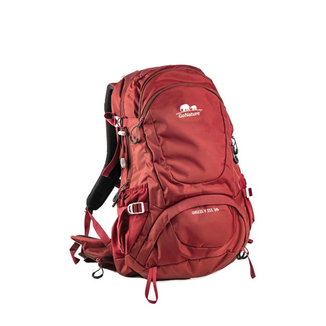 %d7%a6%d7%91%d7%a2-4332