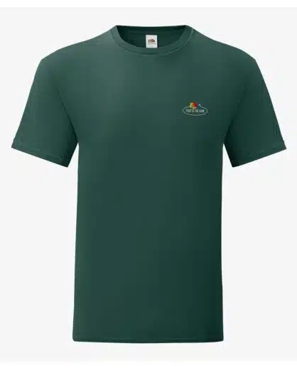 %d7%a6%d7%91%d7%a2-4493