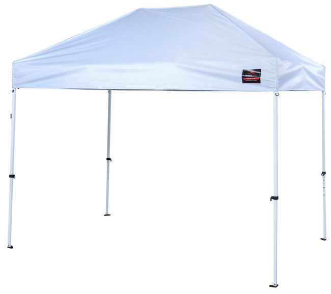 %d7%a6%d7%91%d7%a2-4509