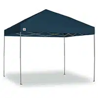 %d7%a6%d7%91%d7%a2-4512