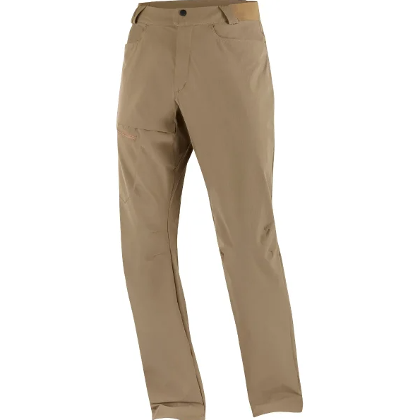 מכנסי מטיילים לגברים SALOMON WAYFARER PANTS