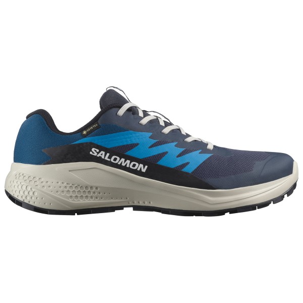 נעלי ריצת שטח SALOMON Alphaglide GTX